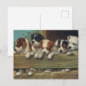 Carte postale Pups vintage (Devant / Derrière)