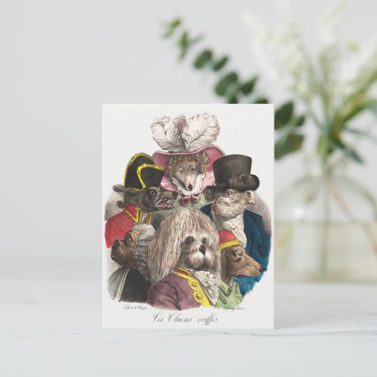 Carte Postale Pups vintages (Debout devant)