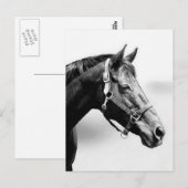 Carte Postale pur (Devant / Derrière)