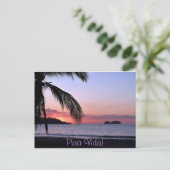 Carte Postale Pura Vida ! (Debout devant)