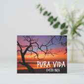 Carte Postale Pura Vida Costa Rica Beach Sunset (Debout devant)