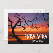 Carte Postale Pura Vida Costa Rica Beach Sunset (Devant / Derrière)