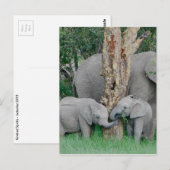 Carte Postale Pure Bliss (Devant / Derrière)