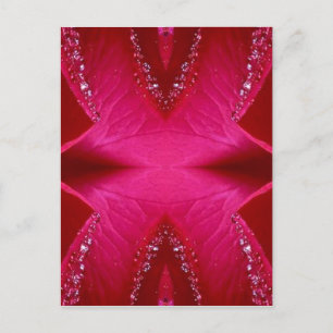 Carte Postale Pure Rose Petal Art - Blood Red n Rose