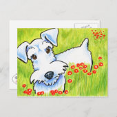 Carte Postale Pure Schnauzer (Devant / Derrière)