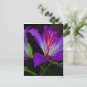 Carte Postale Pureté (Debout devant)