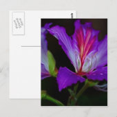 Carte Postale Pureté (Devant / Derrière)