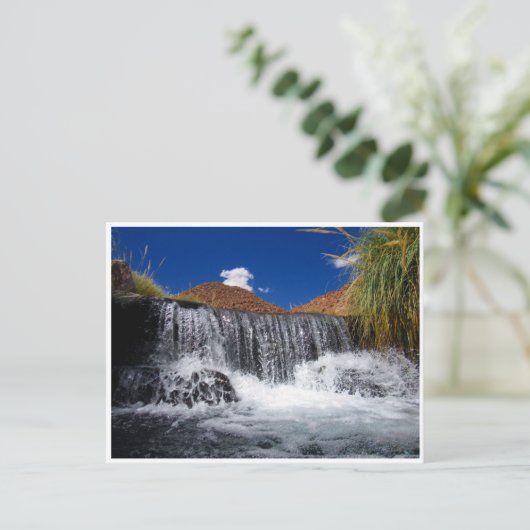 Carte Postale puritama (Debout devant)