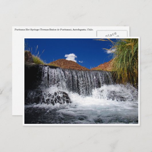 Carte Postale puritama (Devant / Derrière)