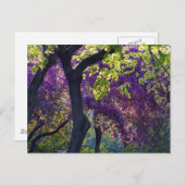 Carte Postale Purple  (Devant / Derrière)