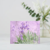 Carte Postale Purple (Debout devant)