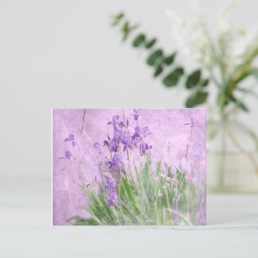 Carte Postale Purple (Debout devant)