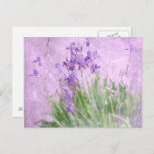 Carte Postale Purple (Devant / Derrière)