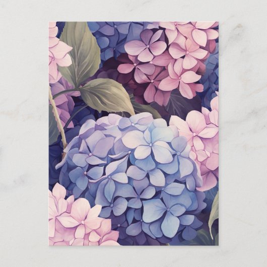 Carte Postale purple and rose hydrangeflower heads (Devant)