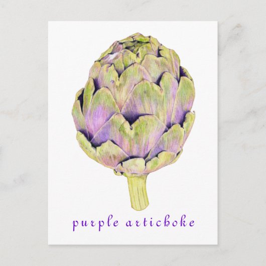 Carte Postale Purple Artichoke (Devant)