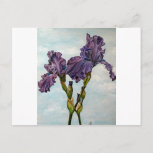 Carte Postale Purple bearded iris flowers