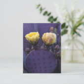 Carte Postale Purple Cactus Flowers Yellow Blooms (Debout devant)