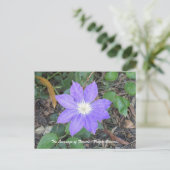 Carte postale Purple Clematis (Debout devant)