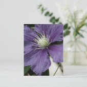 Carte postale Purple Clematis (Debout devant)