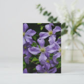 Carte Postale Purple Clematis (Debout devant)