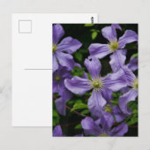 Carte Postale Purple Clematis (Devant / Derrière)