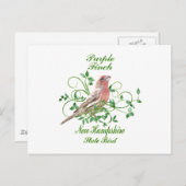 Carte Postale Purple Finch New Hampshire State Bird (Devant / Derrière)