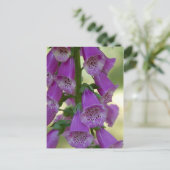 Carte Postale Purple Foxglove (Debout devant)