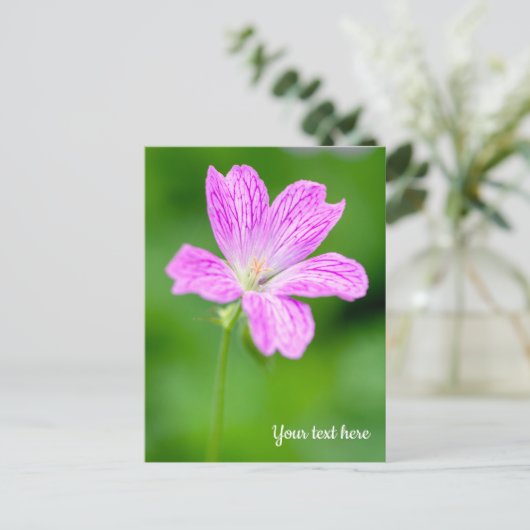 Carte Postale Purple Geranium (Debout devant)