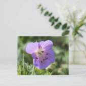 Carte Postale Purple Geranium (Debout devant)