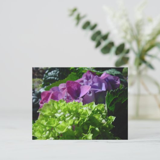 Carte Postale Purple Hydrangeas (Debout devant)