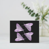 Carte postale Purple Moth Art (Debout devant)