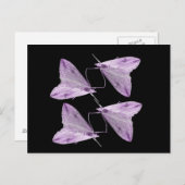 Carte postale Purple Moth Art (Devant / Derrière)