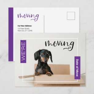 Carte Postale Purple Nous déménageons Dachshund Chien dans la bo