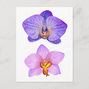 Carte Postale Purple Orchidées Aquarelle