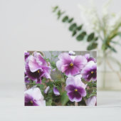 Carte postale Purple Pansy (Debout devant)