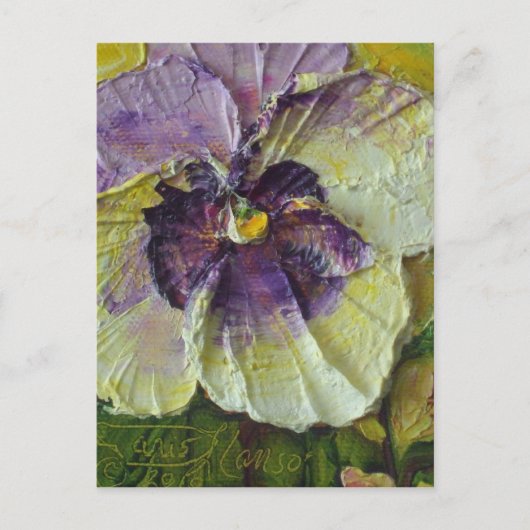 Carte postale Purple Pansy (Devant)