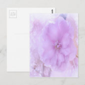 Carte Postale Purple Pansy (Devant / Derrière)
