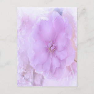Carte Postale Purple Pansy