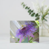 Carte Postale Purple Passion fleur tropicale fleurit de près (Debout devant)