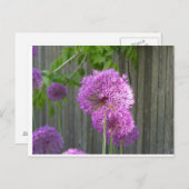 CARTE POSTALE PURPLE PEONY (Devant / Derrière)