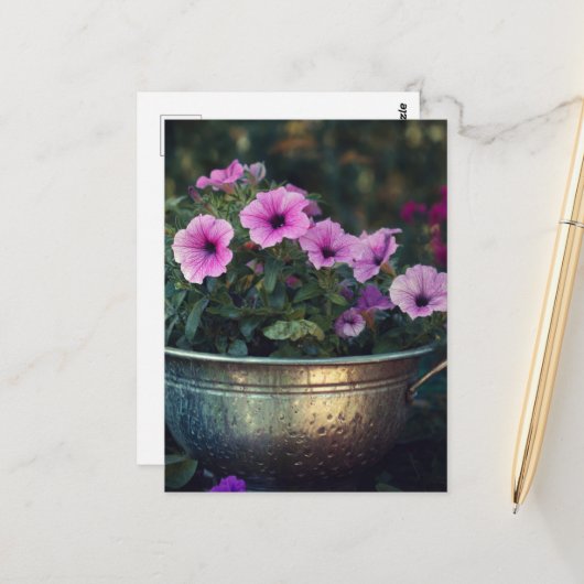 Carte Postale Purple Petunias (Devant/Arrière en situation)