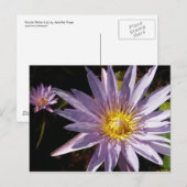 Carte Postale Purple Water Lily (Devant / Derrière)