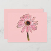 Carte Postale purpleconefloweraimé3 (Devant / Derrière)