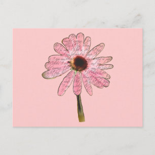 Carte Postale purpleconefloweraimé3