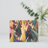 Carte Postale Purples et Golds (Debout devant)