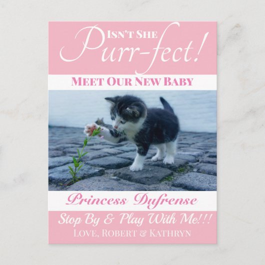 Carte Postale "Purr-fect" Nouveau Chat Faire-part rose (Devant)