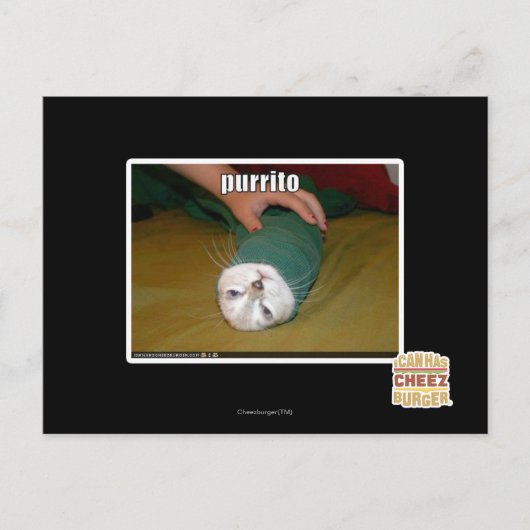 Carte Postale purrito (Devant)