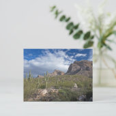 Carte Postale Pusch Ridge II (Debout devant)