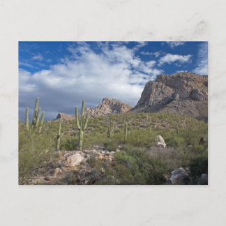 Carte Postale Pusch Ridge II