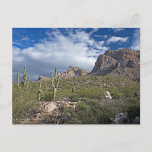 Carte Postale Pusch Ridge II (Devant)